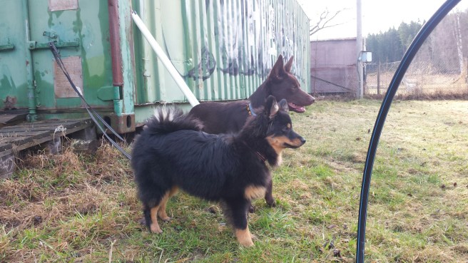 20160418_092321.jpg image