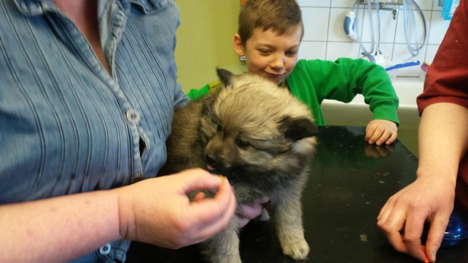 20160418_141426.jpg image