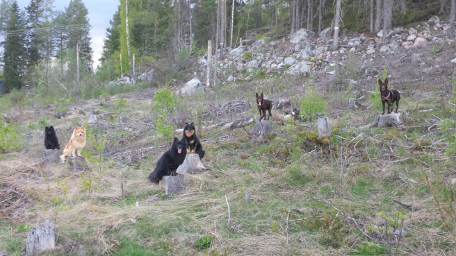 20160512_195344.jpg image