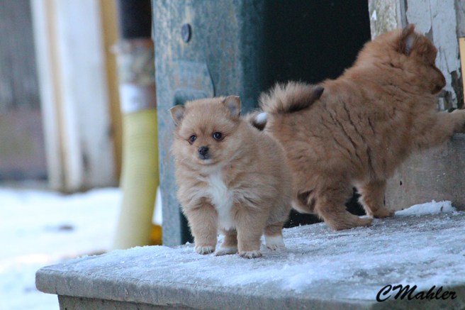 20161215_raija_blogg1