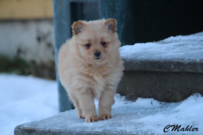 20161215_rakel_blogg1