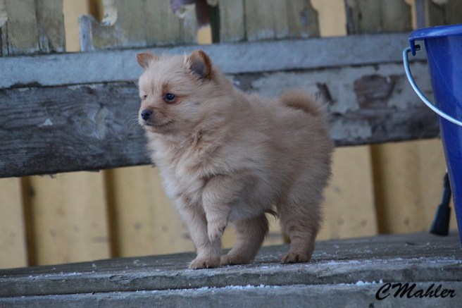 20161215_rakel_blogg2