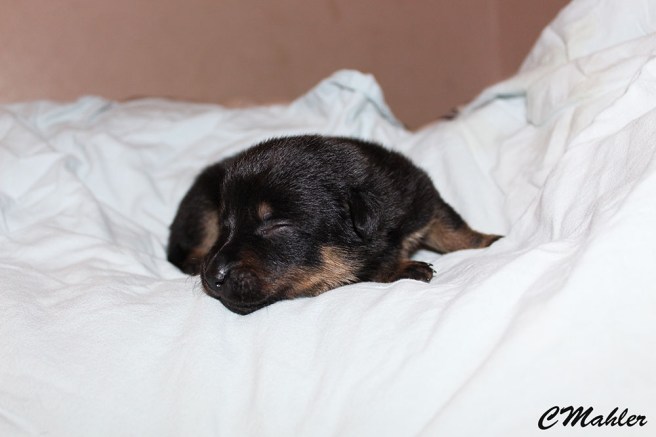 20180408_blackntanblogg