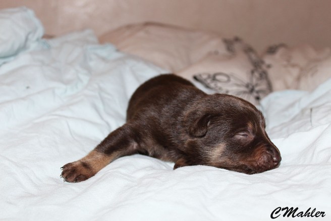 20180408_redntanblogg