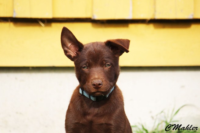 20180520_hotpunkstarblogg