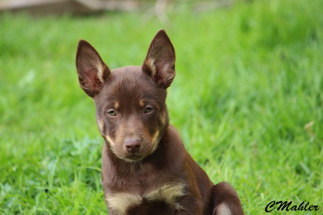 20180520_huicanefloydblogg