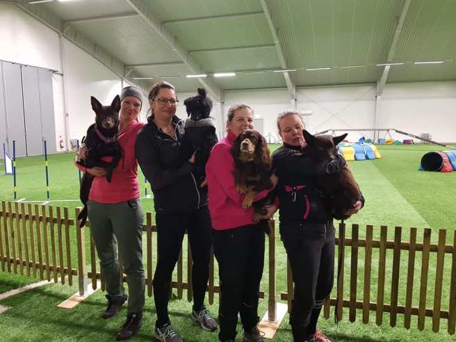 51172471_10156045050482227_2085292538733789184_n