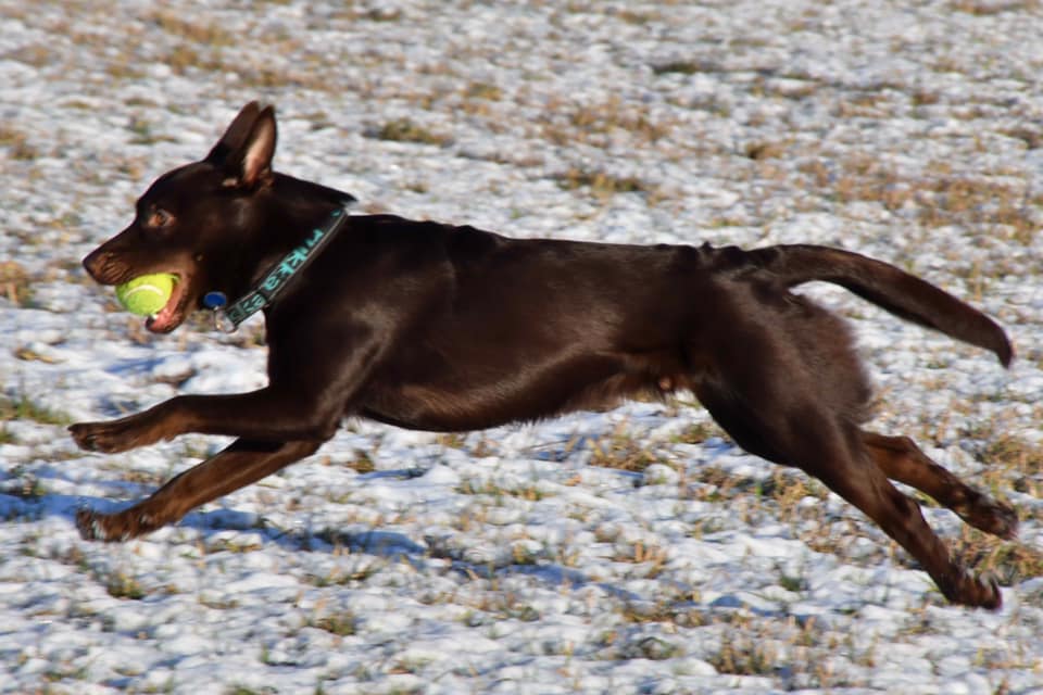 51380747_2018647048256302_2386667035229683712_n