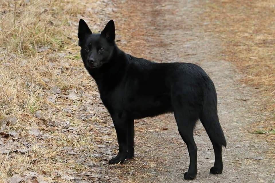 51446858_2199703623601310_5400805062710657024_n