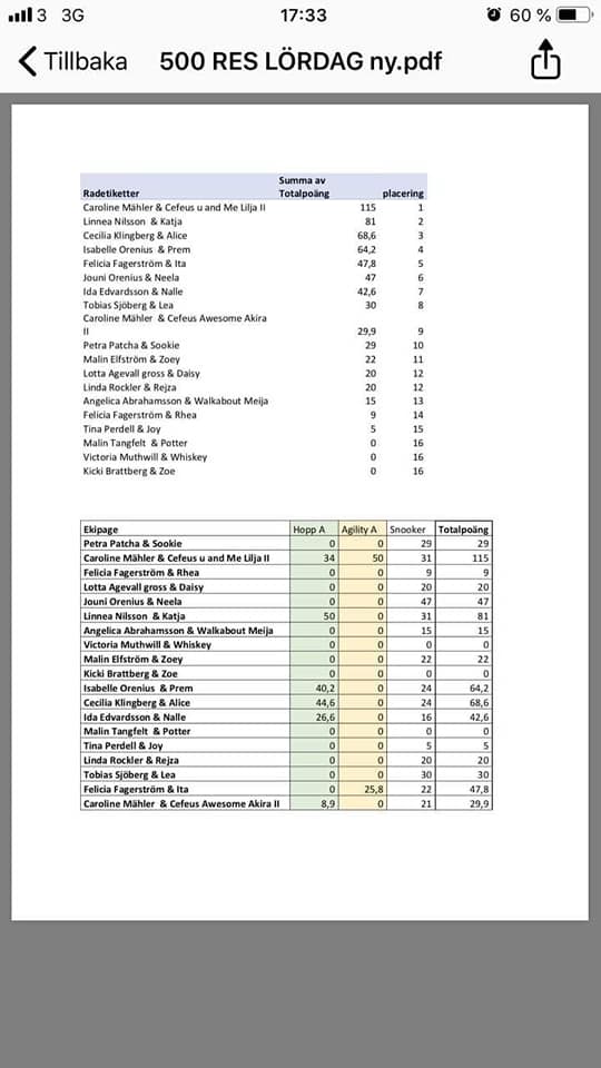 52744558_10156088671937227_9026599334254215168_n