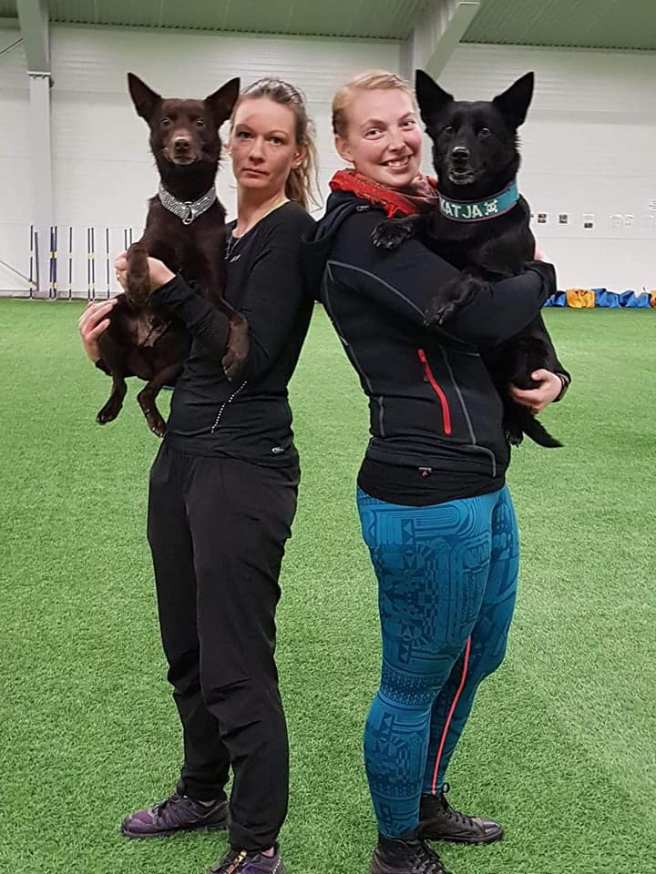 52774138_10156088672062227_665446796729778176_n