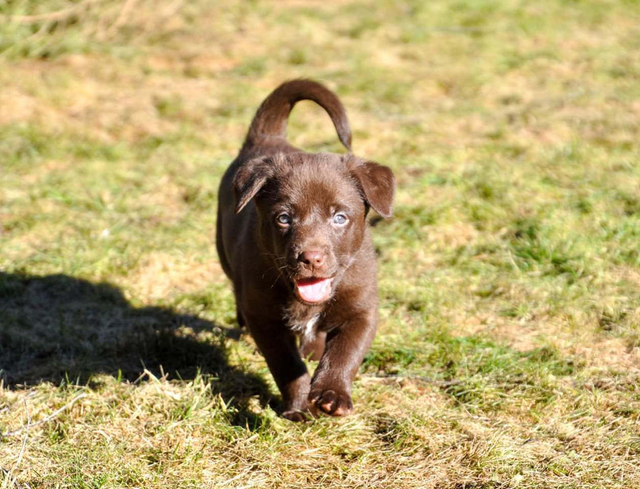 FB_IMG_1552674593930