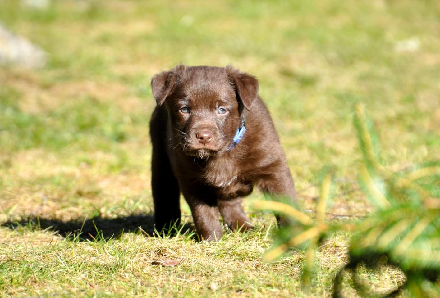 FB_IMG_1552674698807