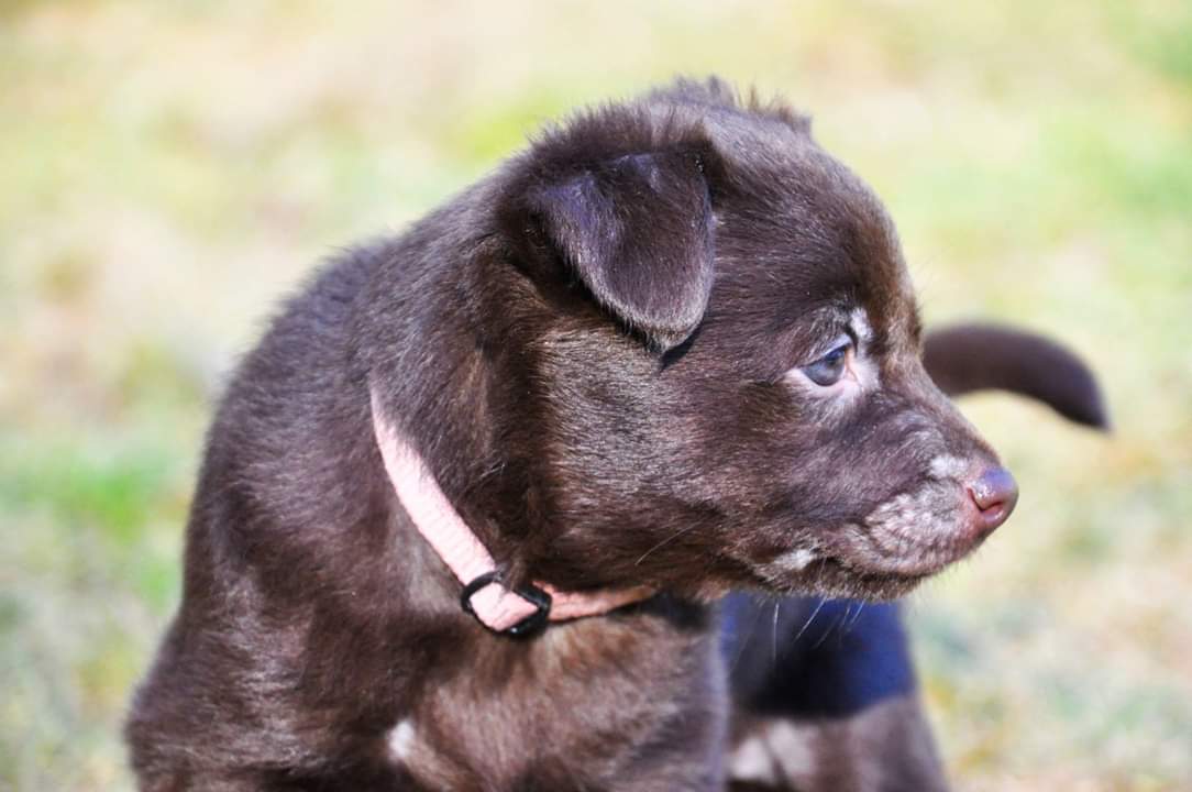 FB_IMG_1552674753949