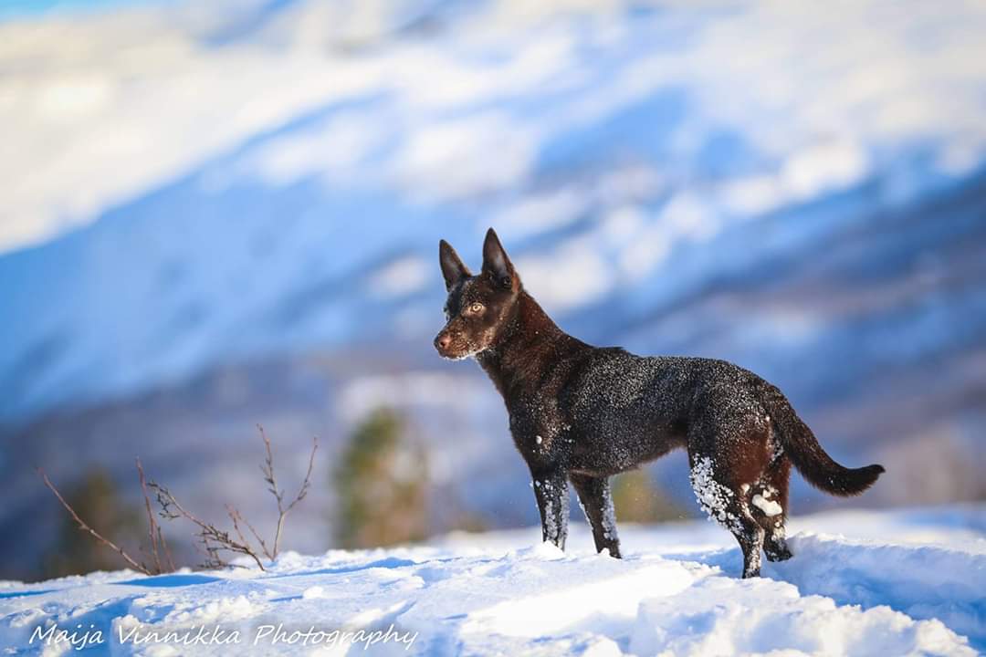 FB_IMG_1552675681301