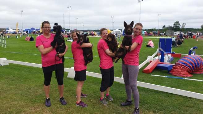 65650850_10156351160047227_6877356051037945856_n