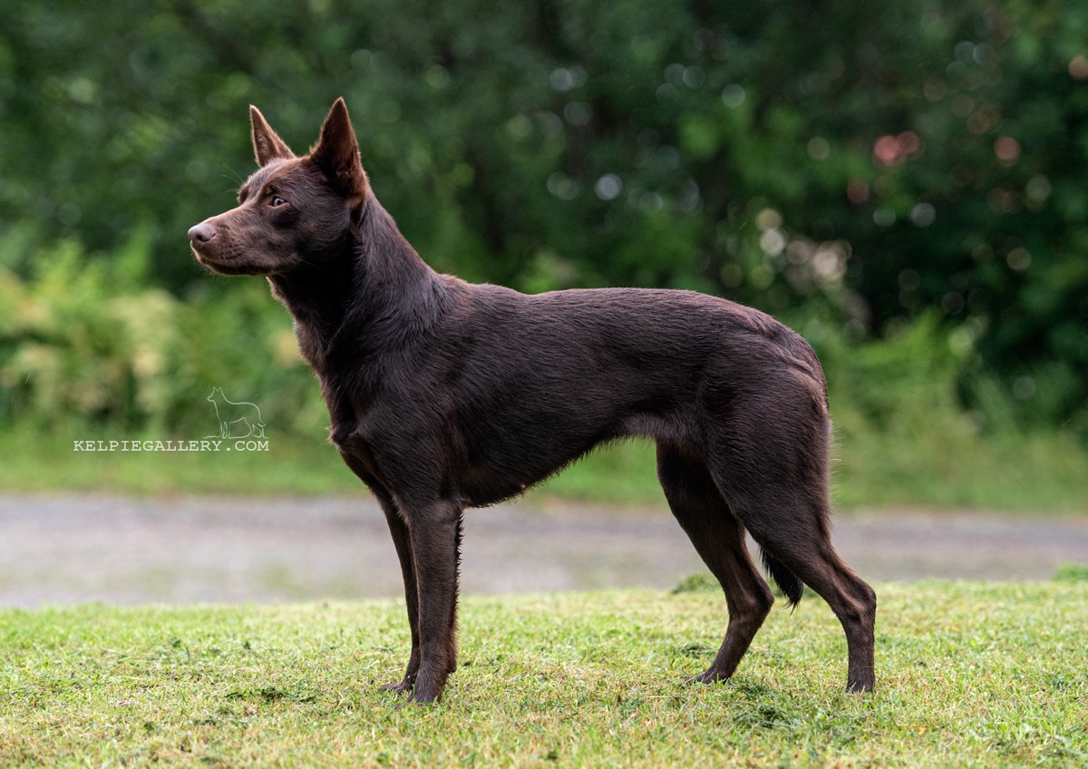 67504452_466280640820712_5226521204008943616_n