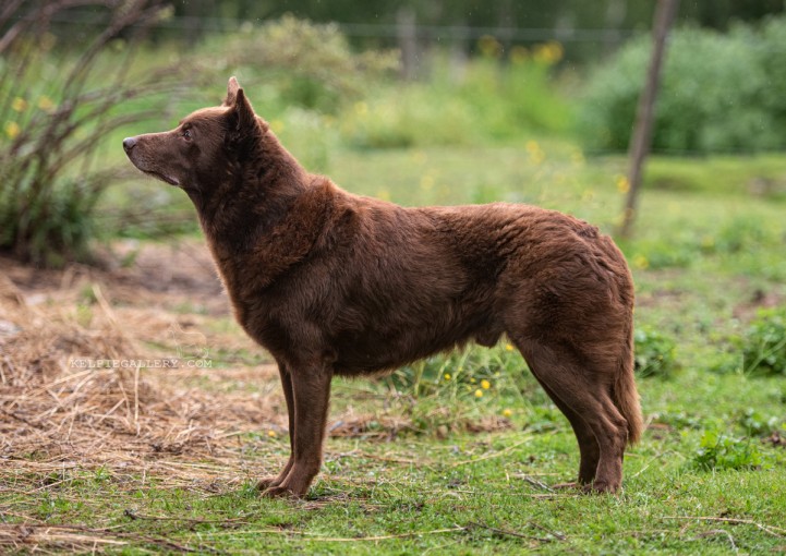 67533069_10156833270327804_6442302020303978496_n