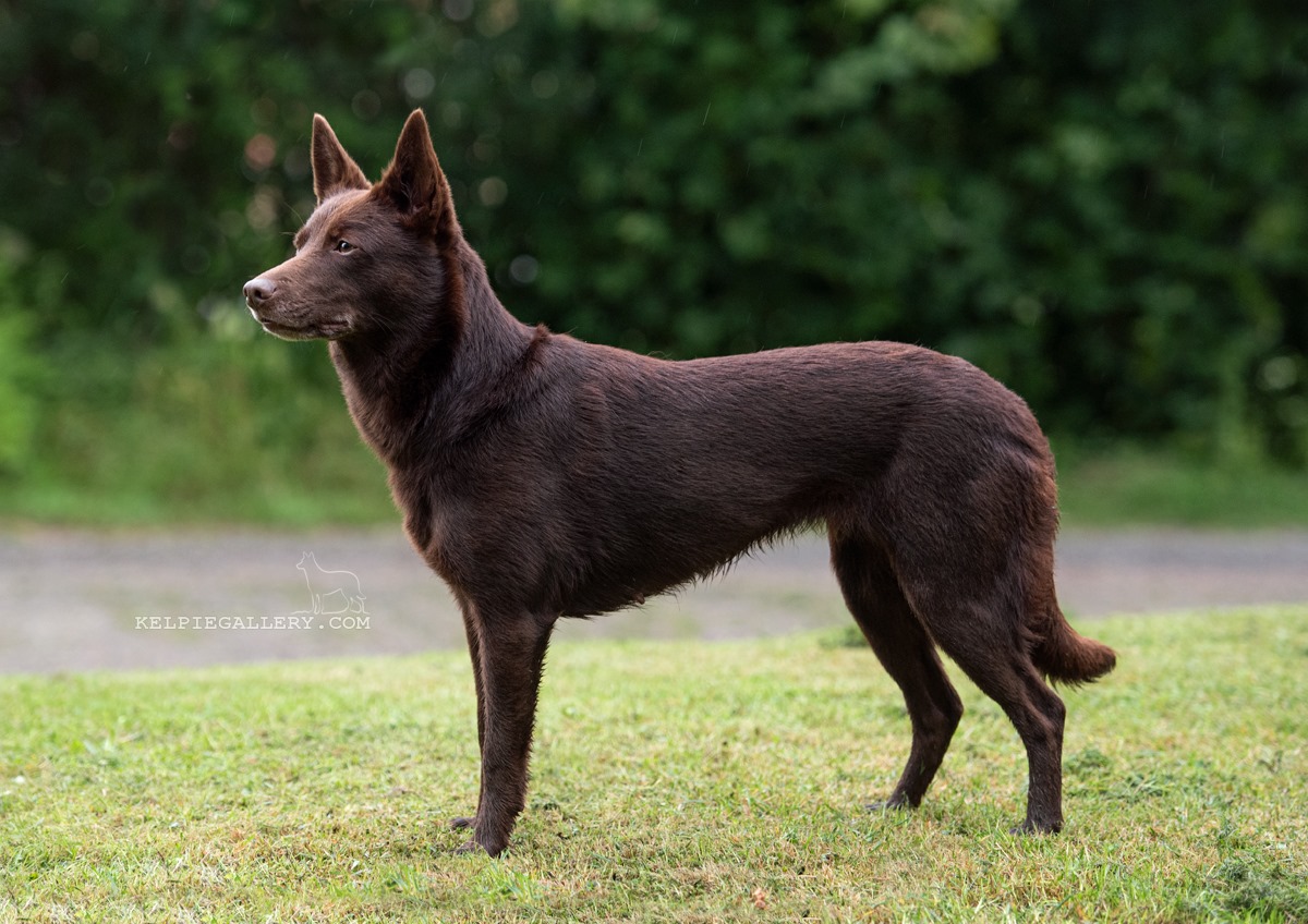 67708597_2756338517718124_2800259161630179328_n