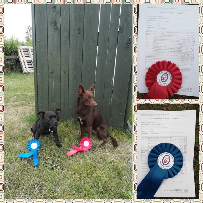 68419625_2535690549796163_2064375700109918208_n