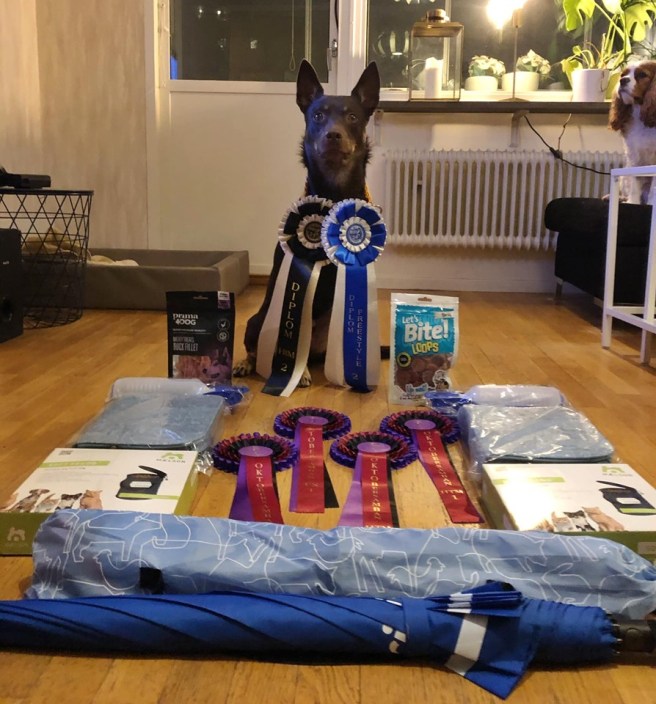 74231810_10157599744549291_9056902995702185984_n