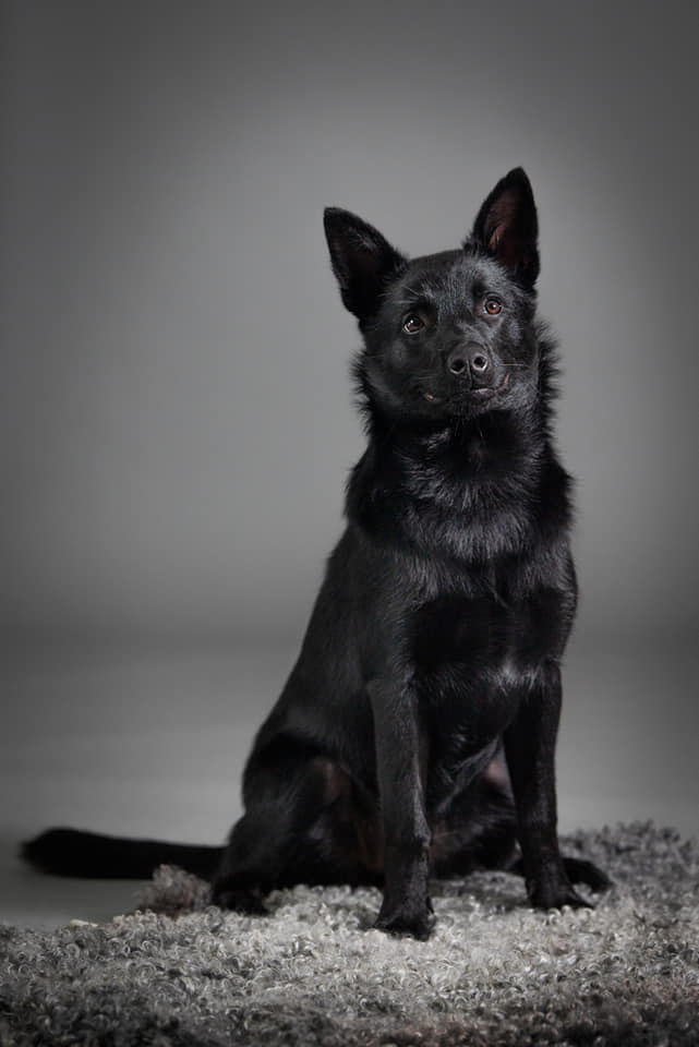 75362442_3566593113365855_2764763331397943296_n